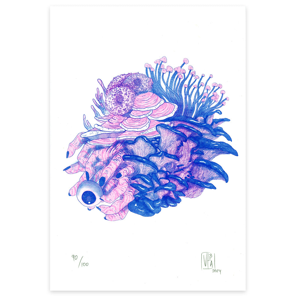 Fungi - Benjamin Viteri