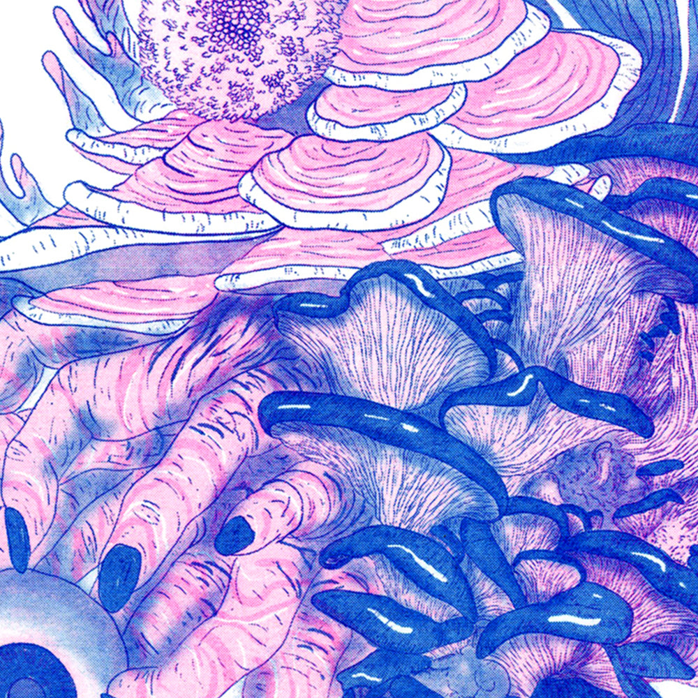 Fungi - Benjamin Viteri