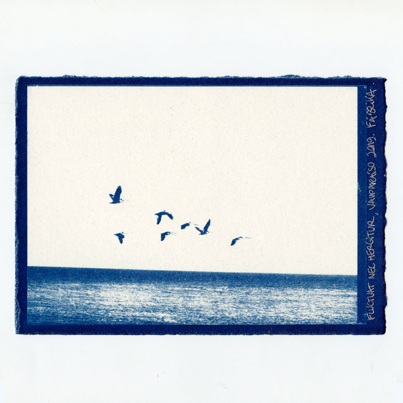 Fluctuat Nec Mergitur II