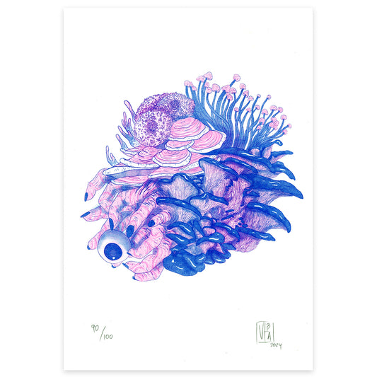 Fungi - Benjamin Viteri