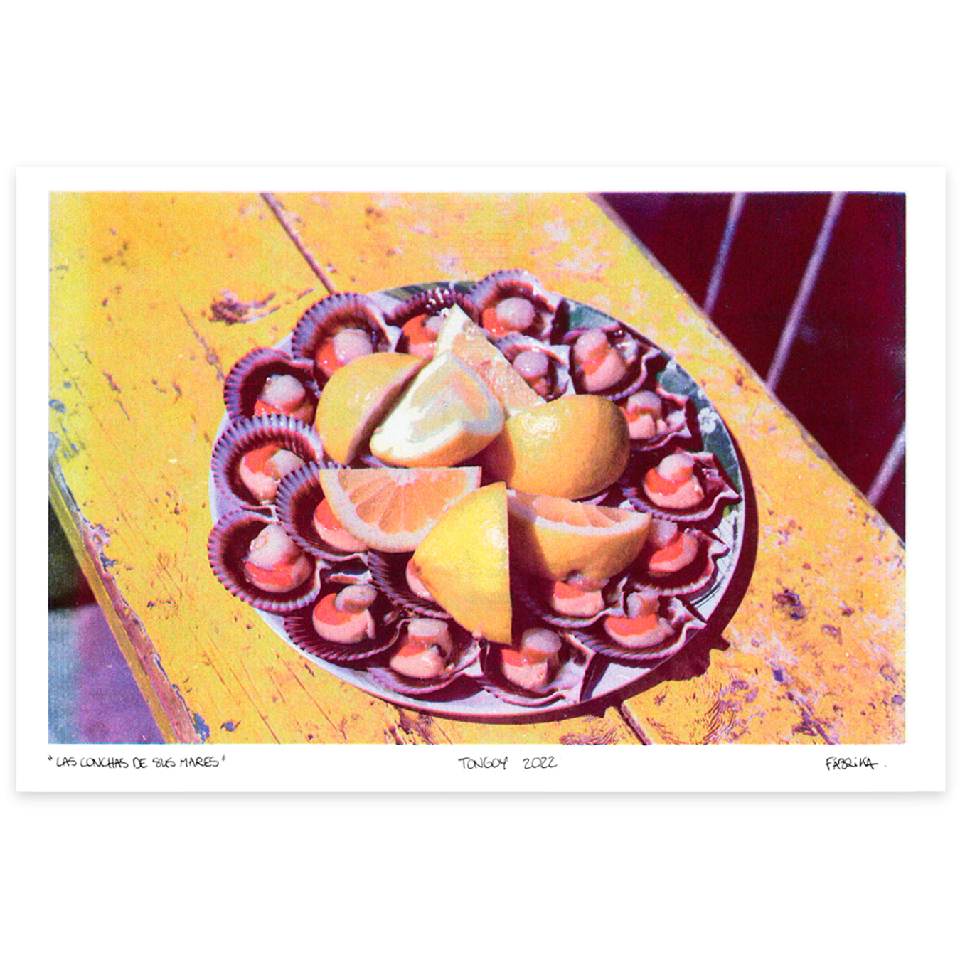 "Las conchas de sus mares"