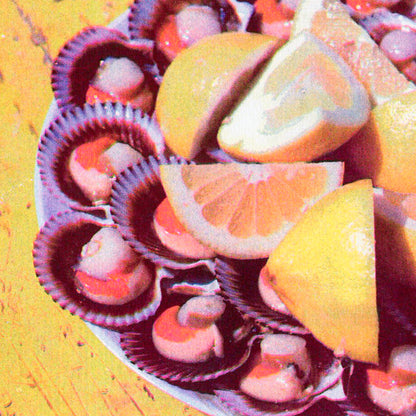"Las conchas de sus mares"